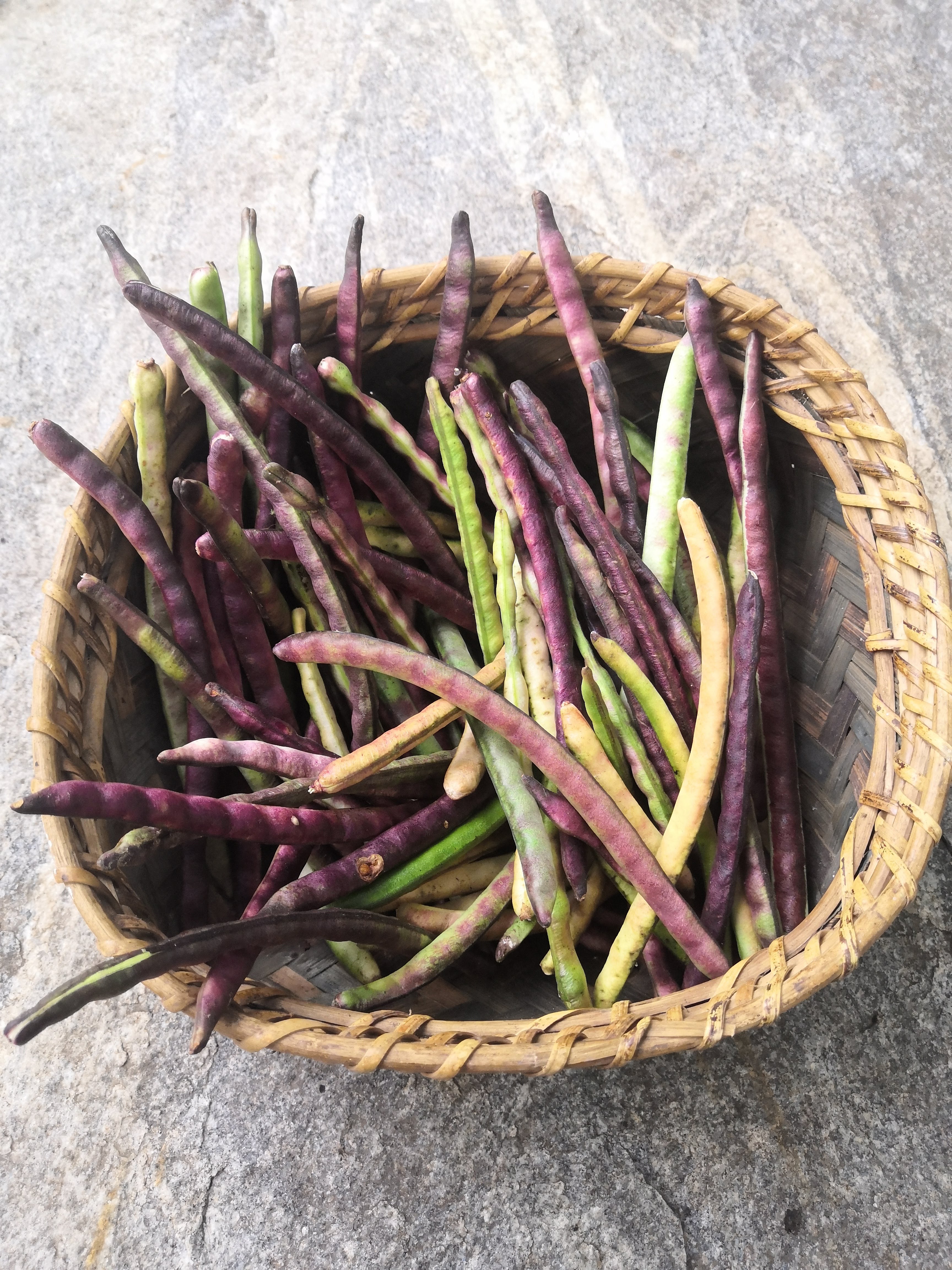 Purple and green beans in a woven basket